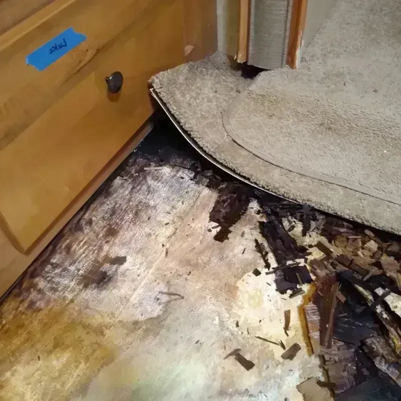 Best Wood Floor Water Damage Service in Thonotosassa, FL